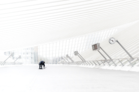 Luik Guillemins