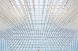 Luik Guillemins