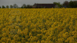 Foto's met een verhaal